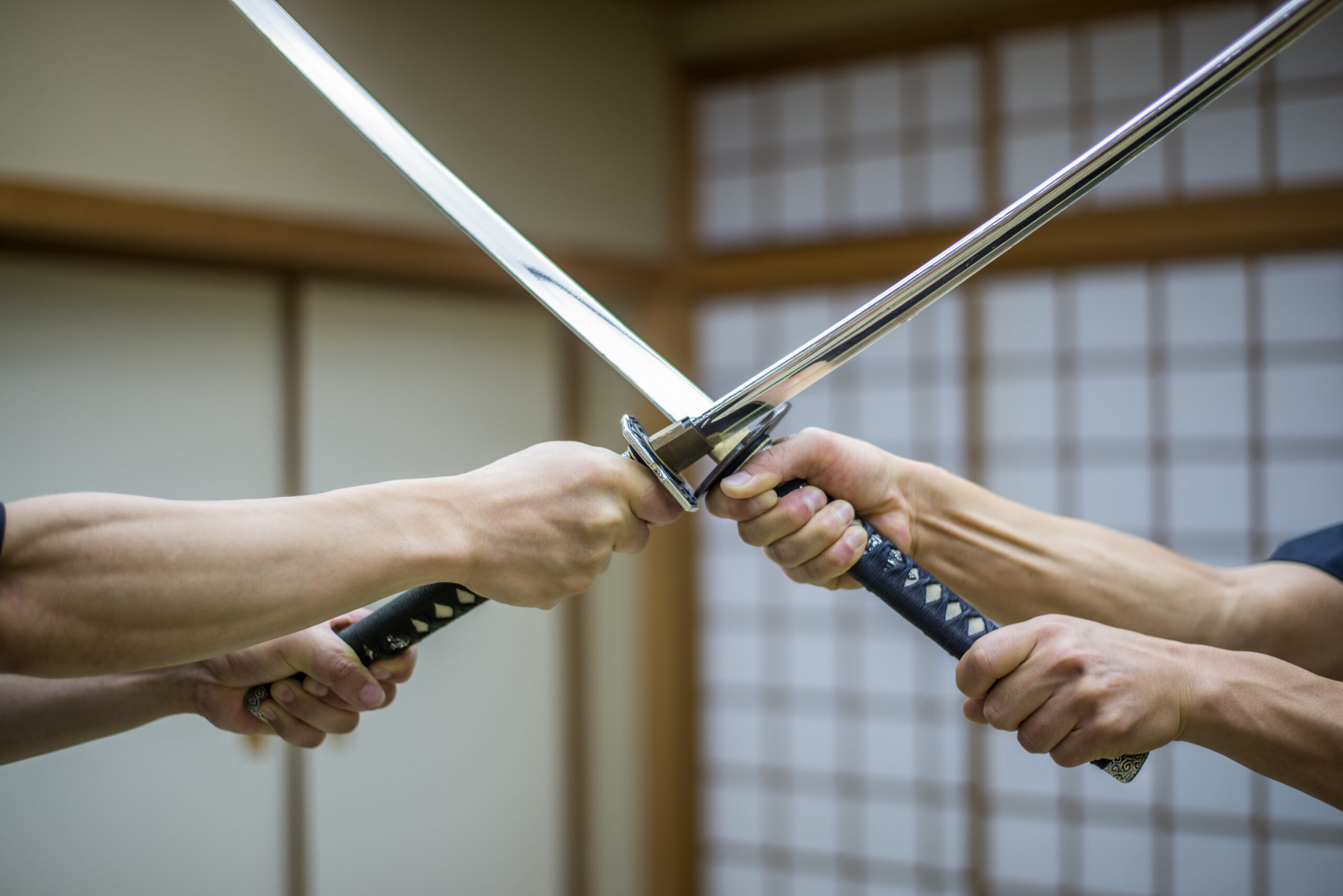 The Way of the Digital Samurai: Embracing the Essence of Success